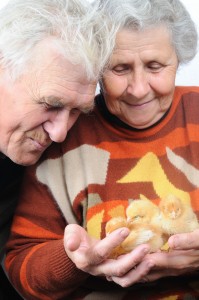 Old people with chick
