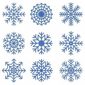 We're not quite talking snowflakes here, but there was huge variation in the 