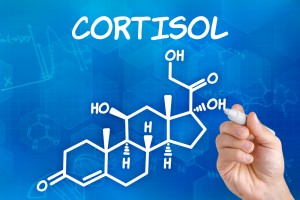 The so-called stress hormone cortisol has been shown to reduce hippocampal volume, impair neurogenesis and induce neurotoxicity in excess